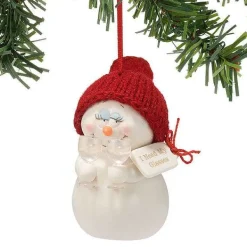 Department 56 Snowpinions<I Need My Glasses Ornament