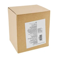 Department 56 Snowpinions<Love The Gnome You'Re With