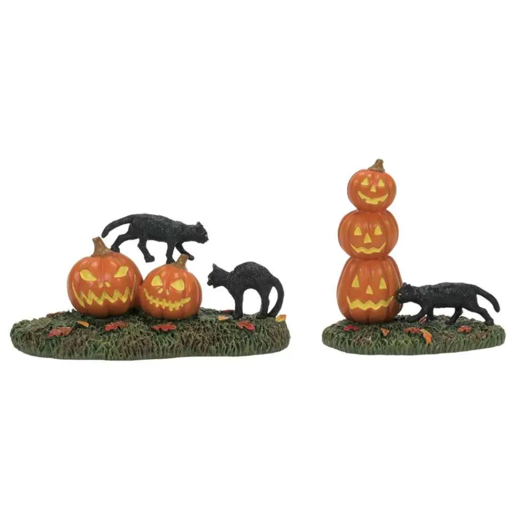 Department 56 Village Halloween Accessories-Scary Cats Pumpkins St/2